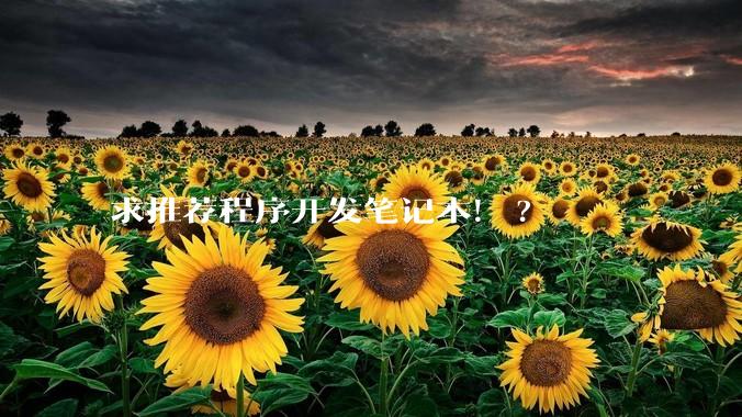 求推荐程序开发笔记本！?